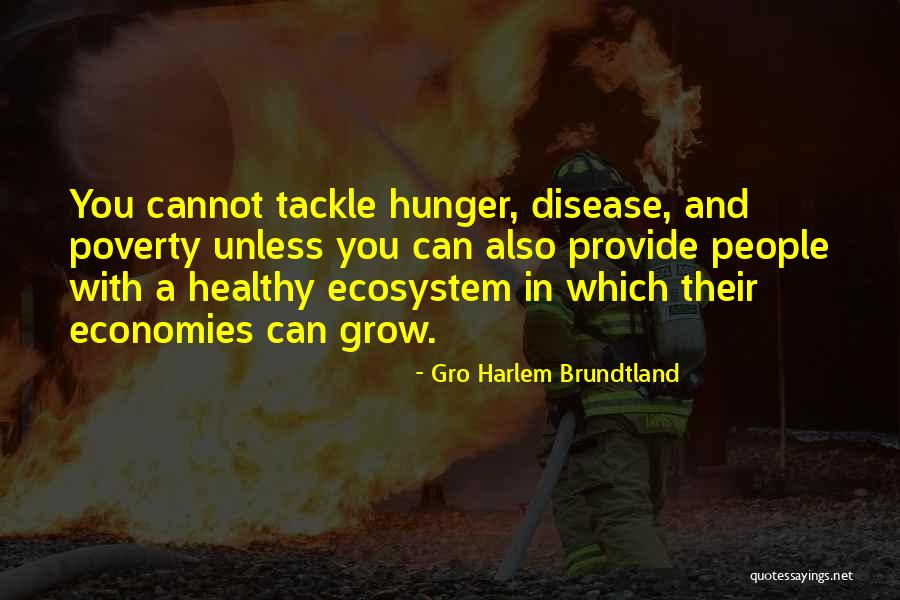 Wisd Quotes Quotes By Gro Harlem Brundtland Wisd Quotes Quotes By Gro Harlem Brundtland