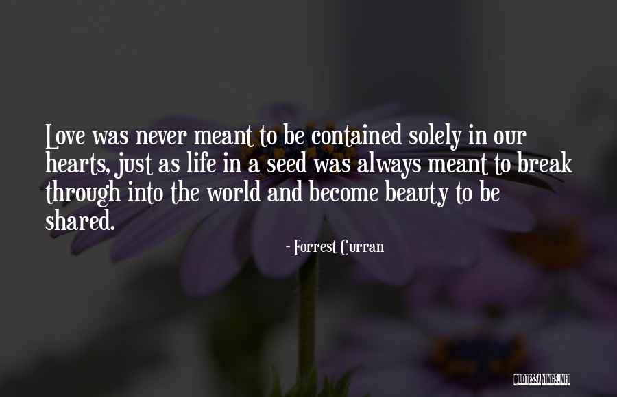 Wisdom And Beauty Quotes By Forrest Curran