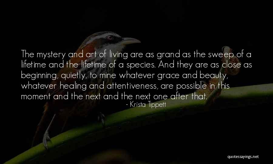 Wisdom And Beauty Quotes By Krista Tippett