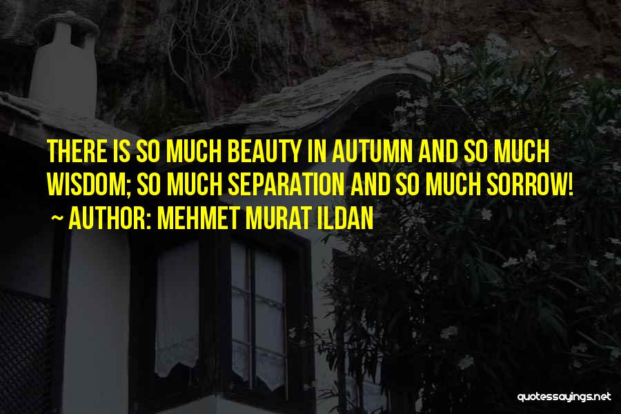 Wisdom And Beauty Quotes By Mehmet Murat Ildan