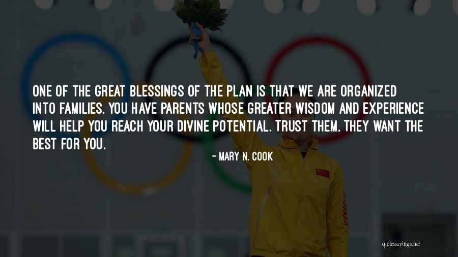 Wisdom And Blessings Quotes By Mary N. Cook Wisdom And Blessings Quotes By Mary N. Cook