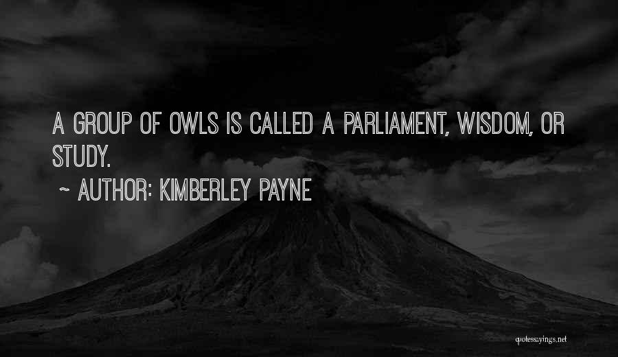 Wisdom And Owls Quotes By Kimberley Payne