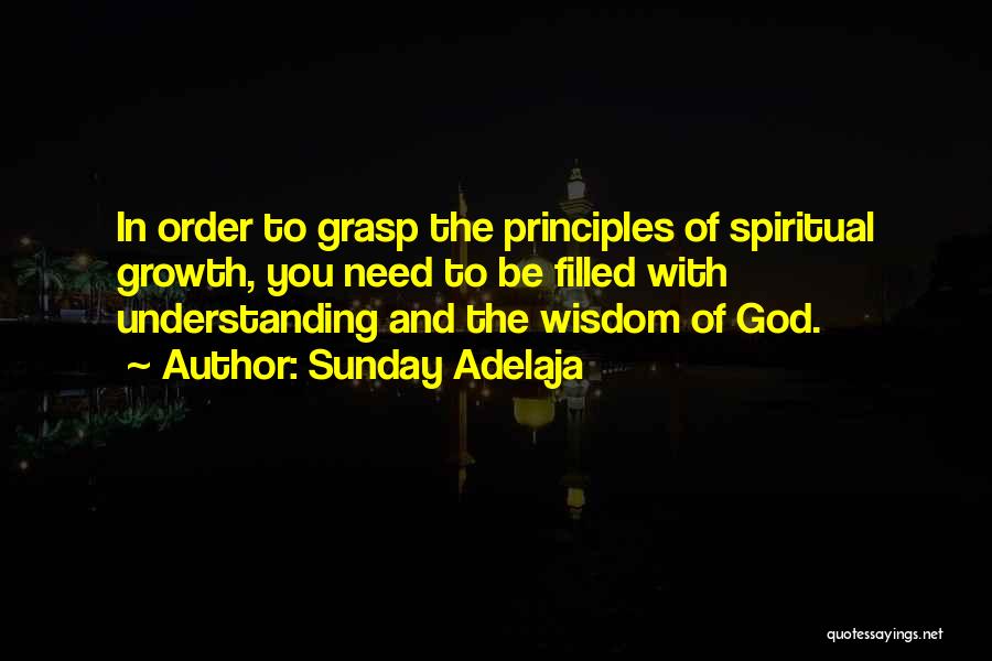 Wisdom And Understanding Quotes By Sunday Adelaja