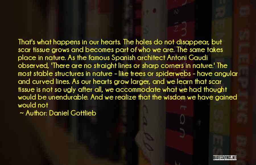 Wisdom Gained Quotes By Daniel Gottlieb