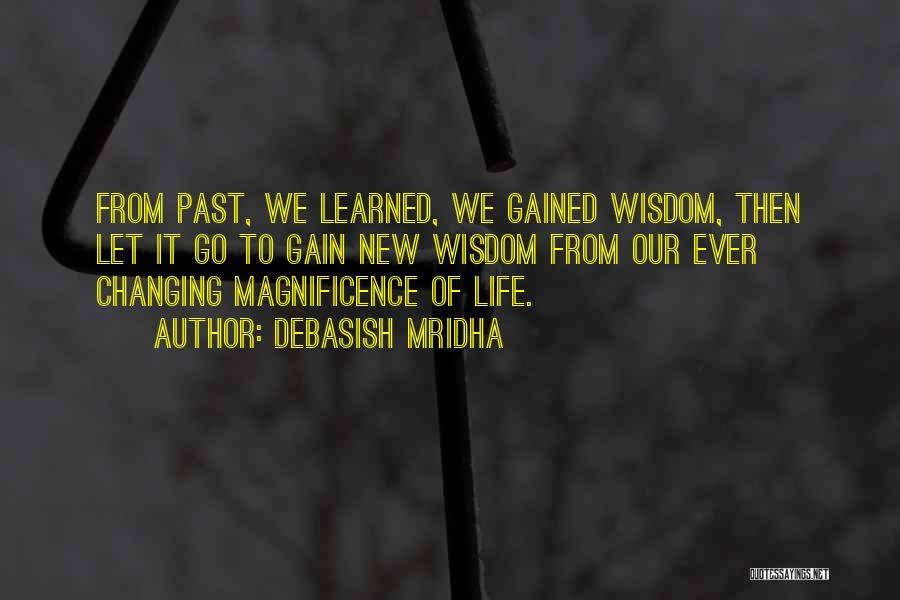 Wisdom Gained Quotes By Debasish Mridha