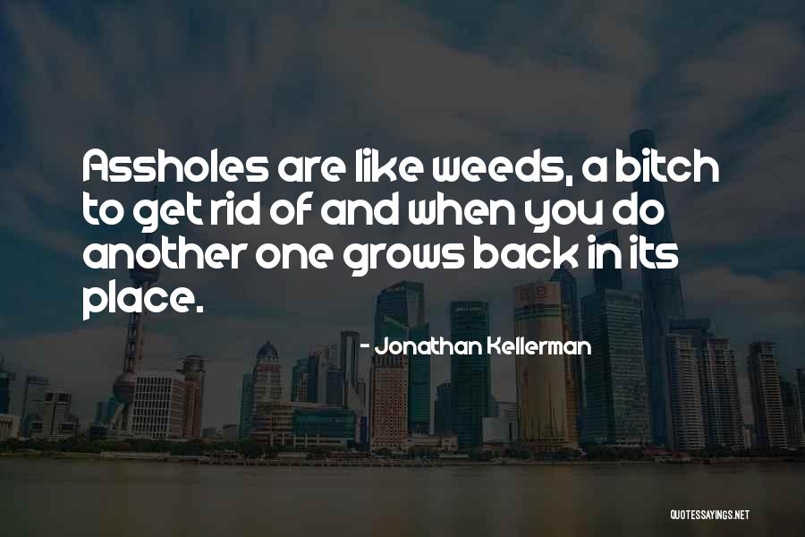 Wisdom In Fiction Quotes By Jonathan Kellerman Wisdom In Fiction Quotes By Jonathan Kellerman