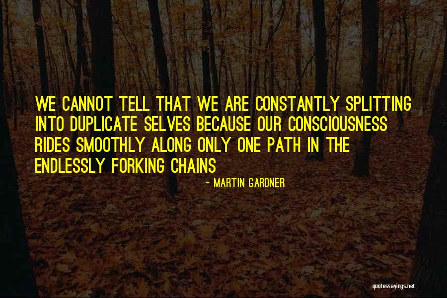 Wisdom In Fiction Quotes By Martin Gardner Wisdom In Fiction Quotes By Martin Gardner