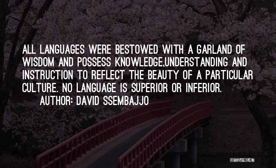Wisdom Knowledge And Understanding Quotes By David Ssembajjo