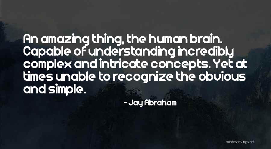 Wisdom Knowledge And Understanding Quotes By Jay Abraham