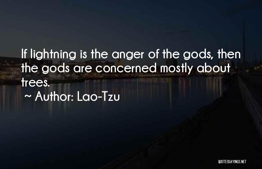 Wisdom Of God Quotes By Lao-Tzu