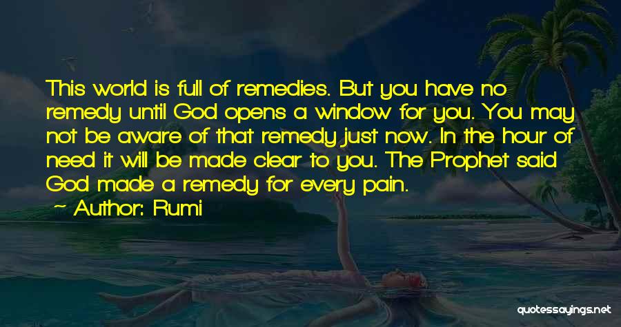 Wisdom Of God Quotes By Rumi