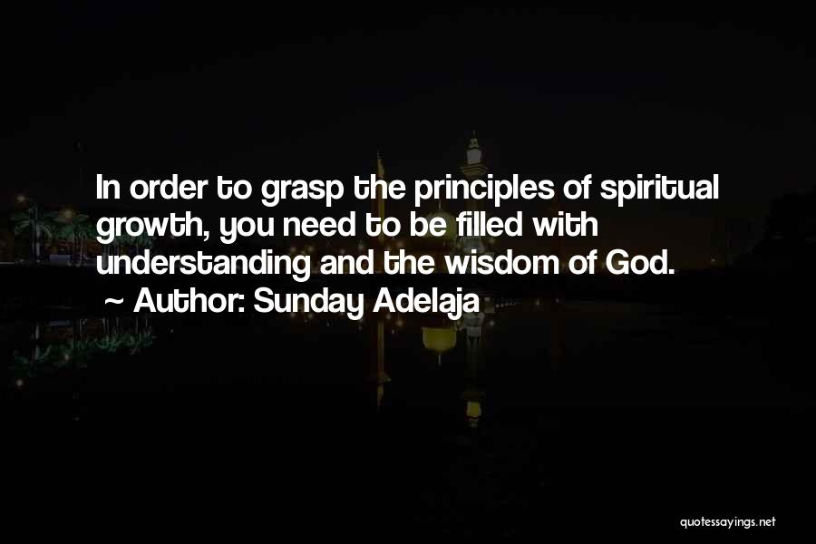 Wisdom Principles Quotes By Sunday Adelaja