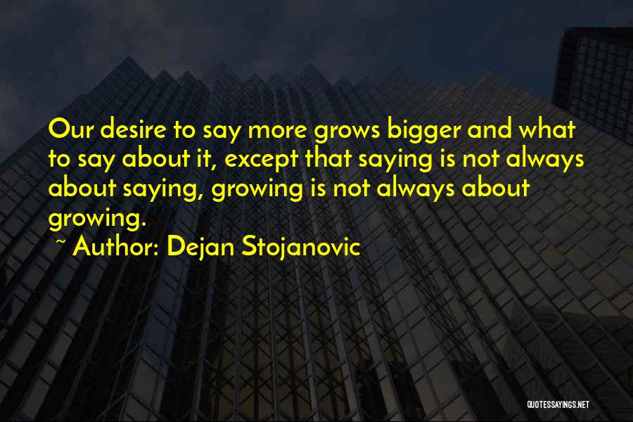 Wisdom Sayings Quotes By Dejan Stojanovic