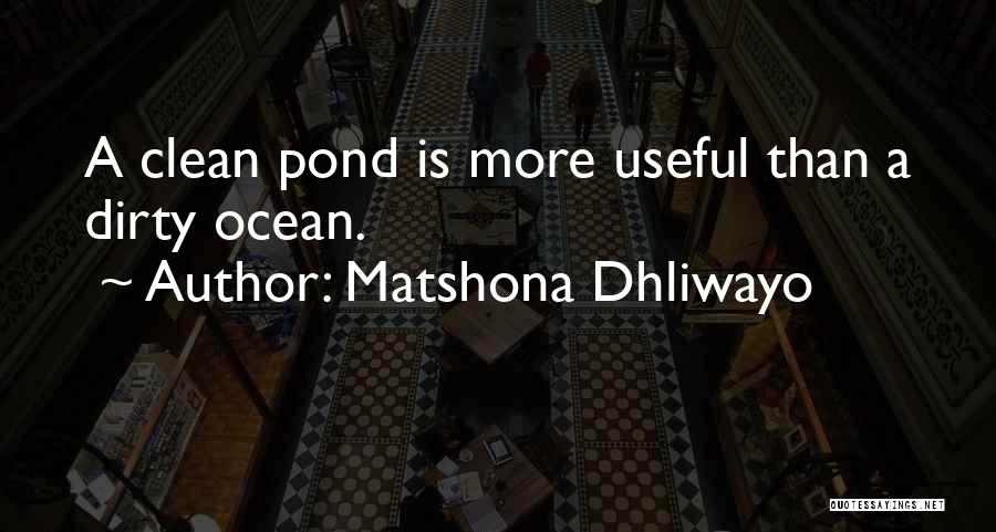 Wisdom Sayings Quotes By Matshona Dhliwayo