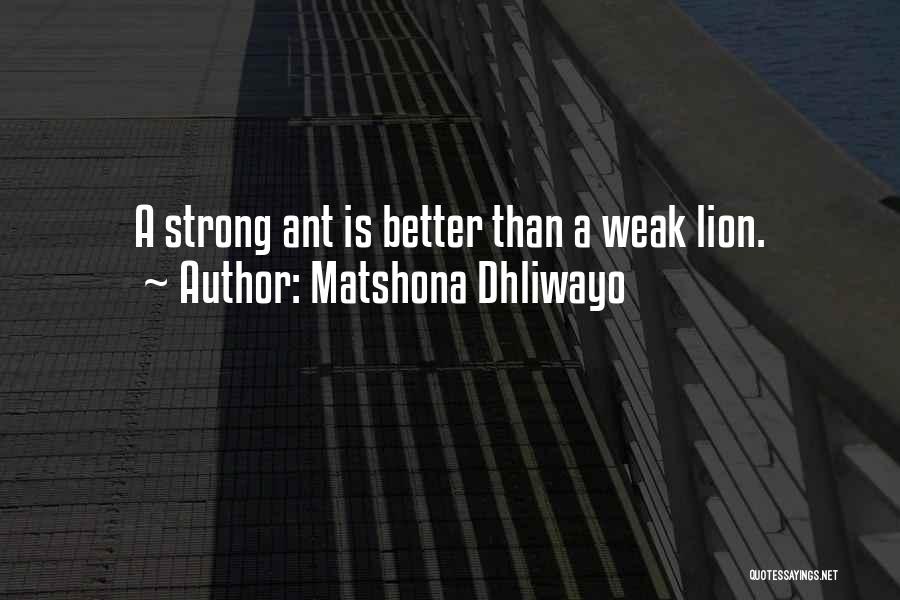 Wisdom Sayings Quotes By Matshona Dhliwayo