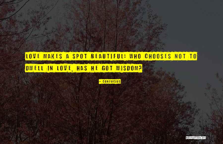 Wisdom Spots Quotes By Confucius Wisdom Spots Quotes By Confucius
