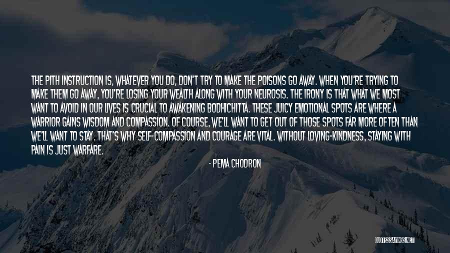 Wisdom Spots Quotes By Pema Chodron Wisdom Spots Quotes By Pema Chodron