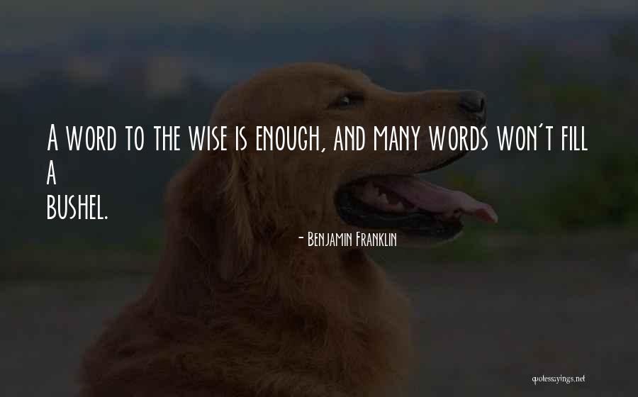 Wise 3 Word Quotes By Benjamin Franklin