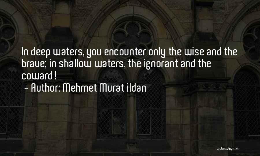 Wise And Deep Quotes By Mehmet Murat Ildan