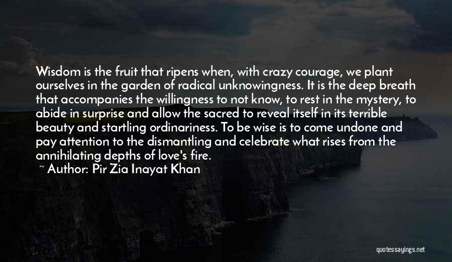 Wise And Deep Quotes By Pir Zia Inayat Khan