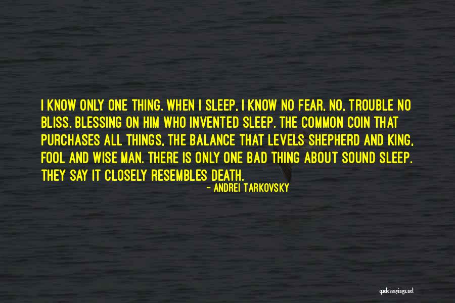 Wise And Fool Quotes By Andrei Tarkovsky