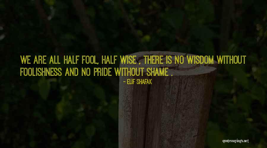Wise And Fool Quotes By Elif Shafak Wise And Fool Quotes By Elif Shafak
