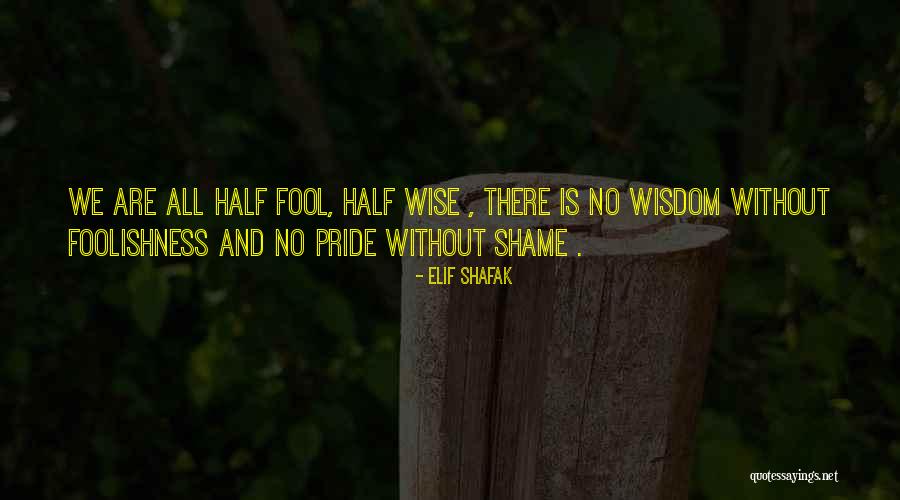 Wise And Fool Quotes By Elif Shafak