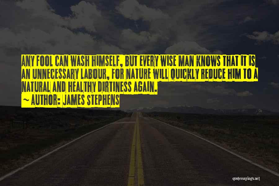 Wise And Fool Quotes By James Stephens