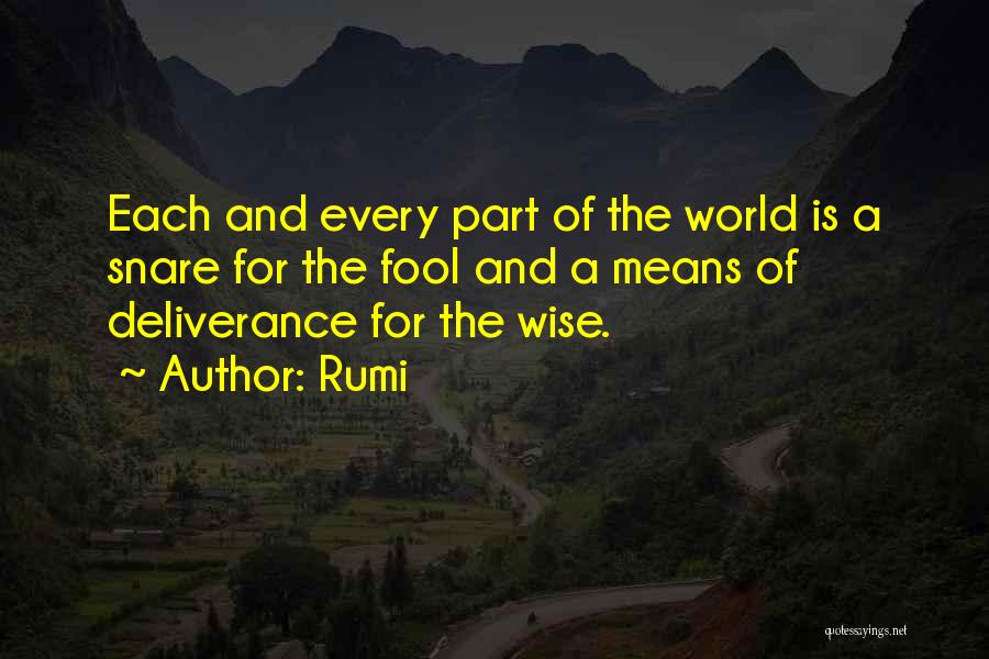 Wise And Fool Quotes By Rumi