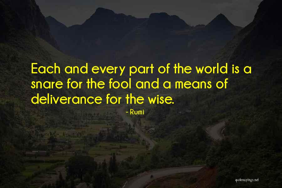 Wise And Fool Quotes By Rumi