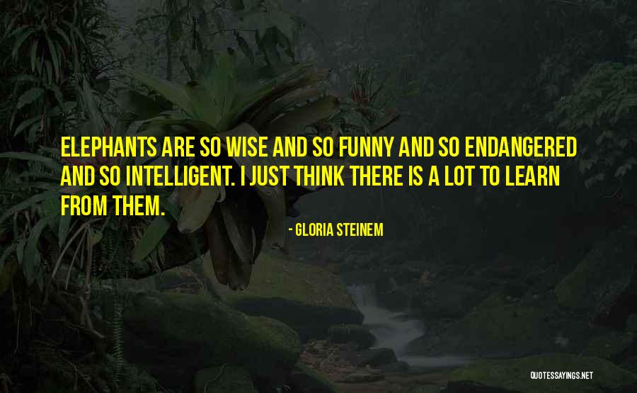 Wise And Intelligent Quotes By Gloria Steinem Wise And Intelligent Quotes By Gloria Steinem