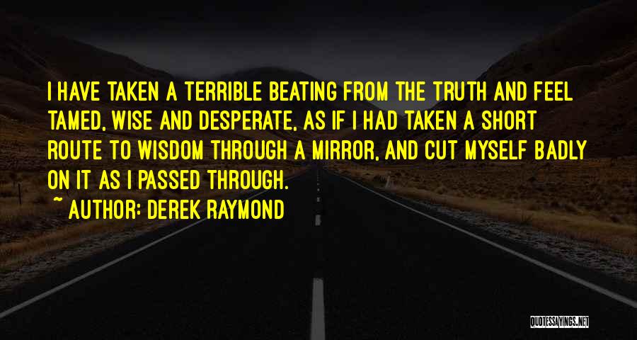 Wise And Short Quotes By Derek Raymond