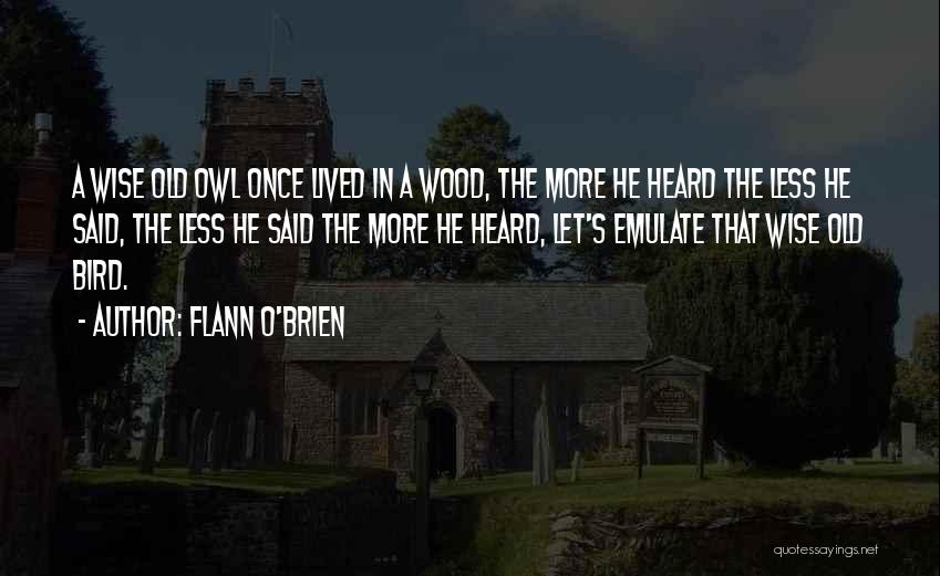 Wise Bird Quotes By Flann O'Brien