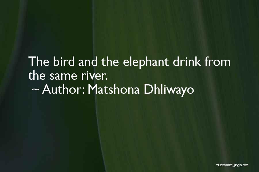 Wise Bird Quotes By Matshona Dhliwayo