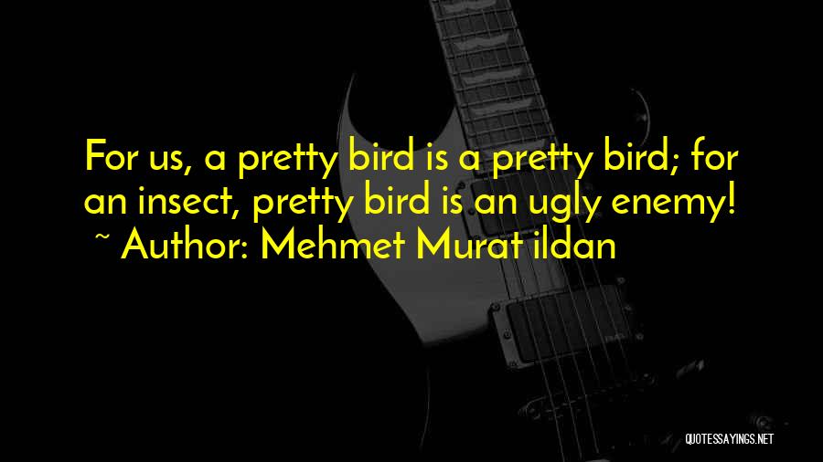 Wise Bird Quotes By Mehmet Murat Ildan