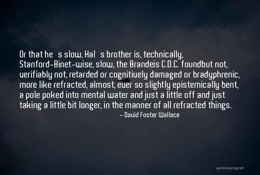 Wise Brother Quotes By David Foster Wallace Wise Brother Quotes By David Foster Wallace