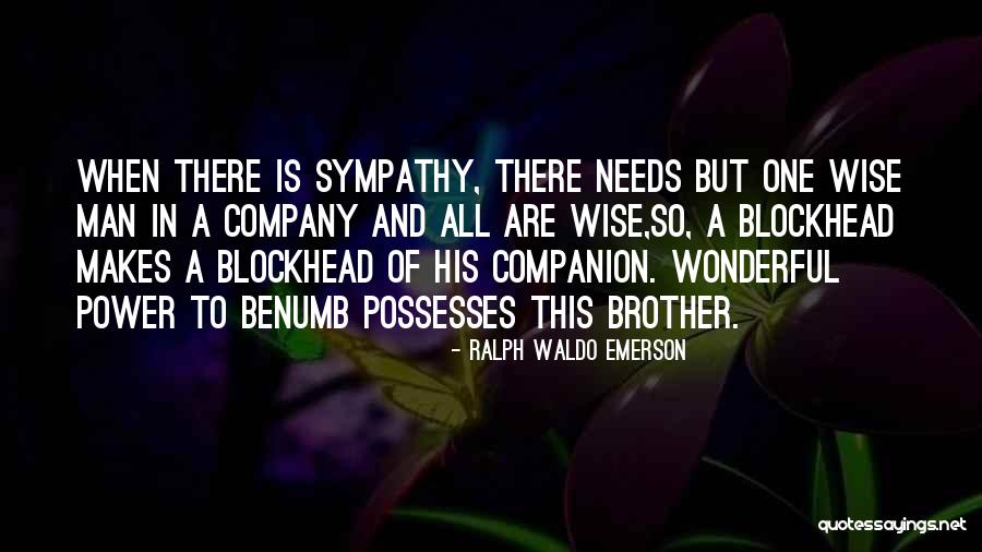 Wise Brother Quotes By Ralph Waldo Emerson Wise Brother Quotes By Ralph Waldo Emerson