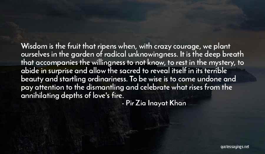 Wise Courage Quotes By Pir Zia Inayat Khan Wise Courage Quotes By Pir Zia Inayat Khan