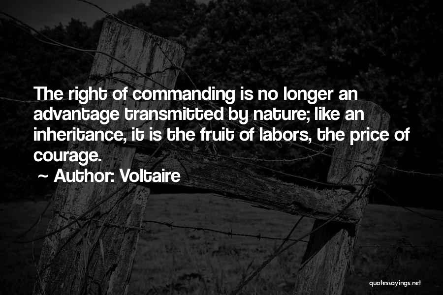 Wise Filipino Quotes By Voltaire