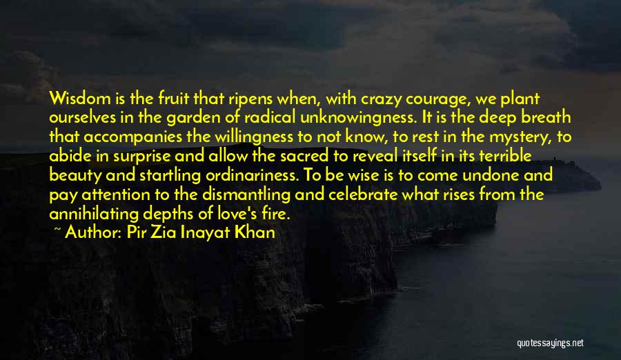 Wise Fire Quotes By Pir Zia Inayat Khan