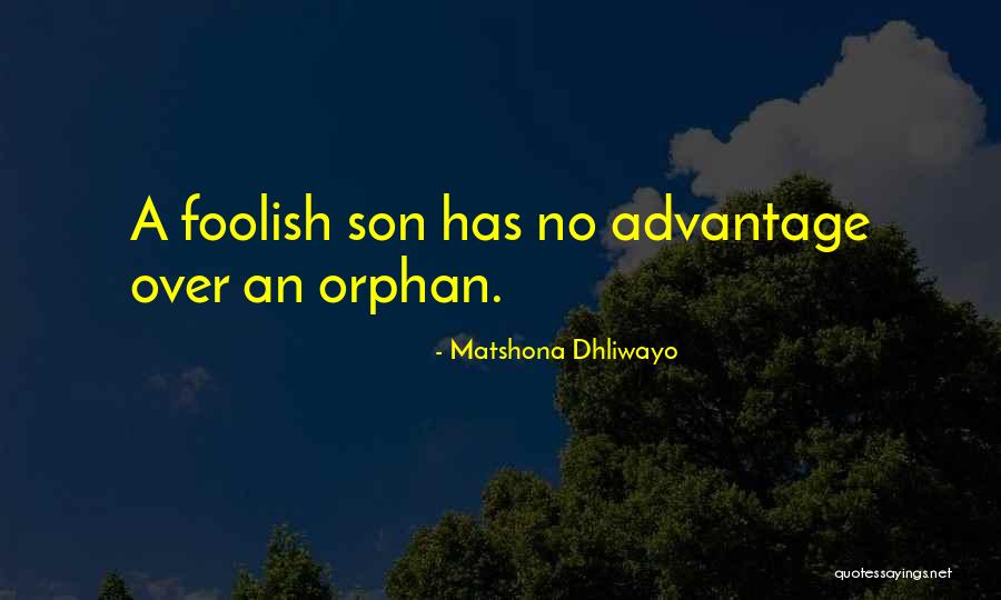 Wise Fool Quotes By Matshona Dhliwayo Wise Fool Quotes By Matshona Dhliwayo
