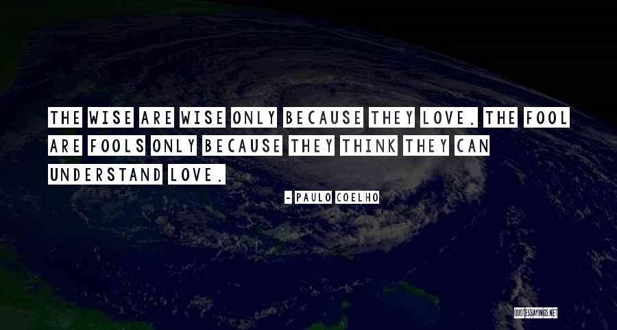 Wise Fool Quotes By Paulo Coelho Wise Fool Quotes By Paulo Coelho