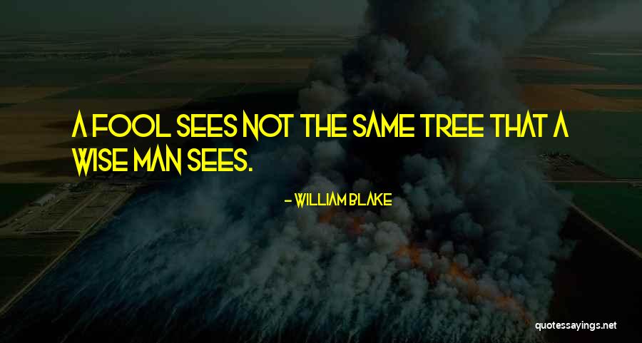 Wise Fool Quotes By William Blake