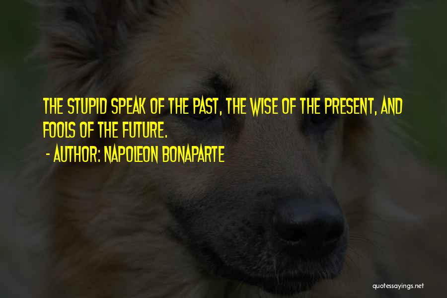 Wise Fools Quotes By Napoleon Bonaparte