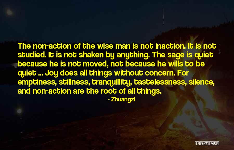 Wise Man Quotes By Zhuangzi Wise Man Quotes By Zhuangzi