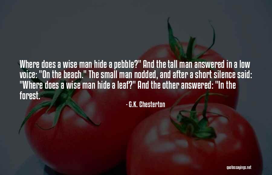 Wise Man Said Quotes By G.K. Chesterton Wise Man Said Quotes By G.K. Chesterton