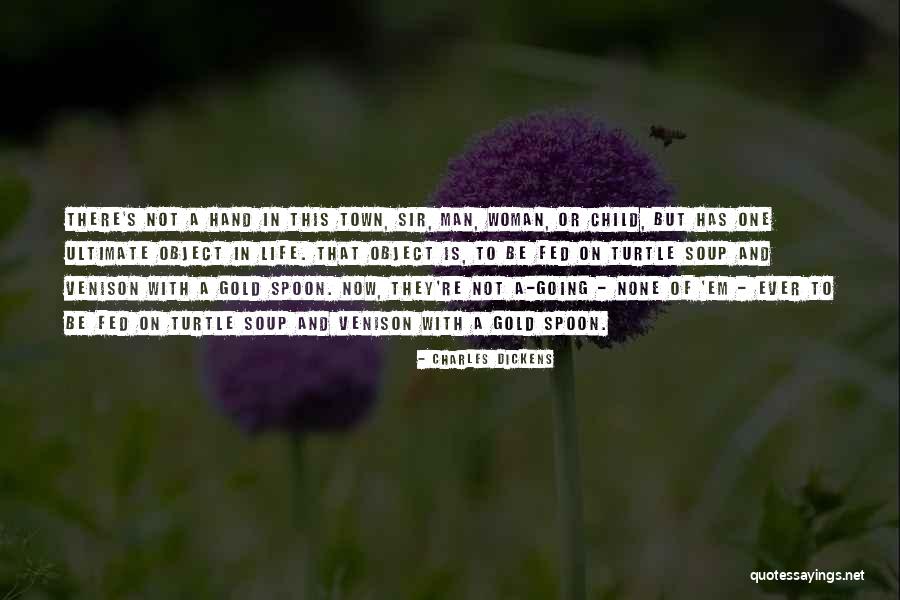 Wise Mothers Quotes By Charles Dickens Wise Mothers Quotes By Charles Dickens