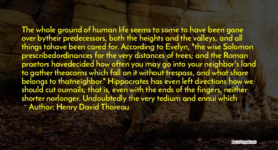 Wise Old Man Quotes By Henry David Thoreau