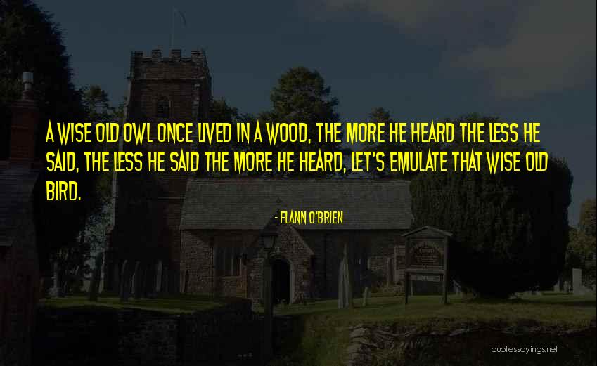 Wise Old Owl Quotes By Flann O'Brien