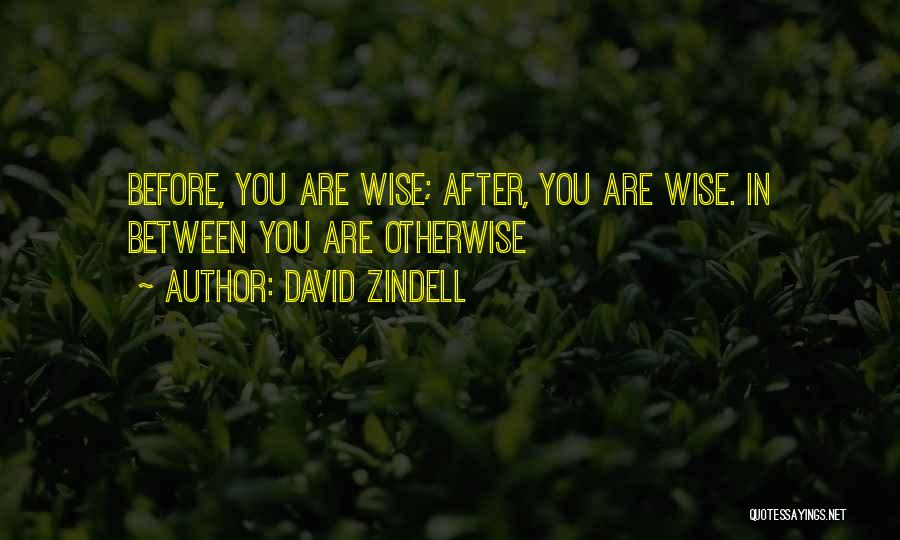 Wise Otherwise Quotes By David Zindell